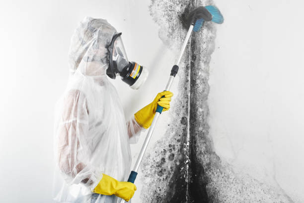 Best Airborne Mold Testing  in Canton, PA