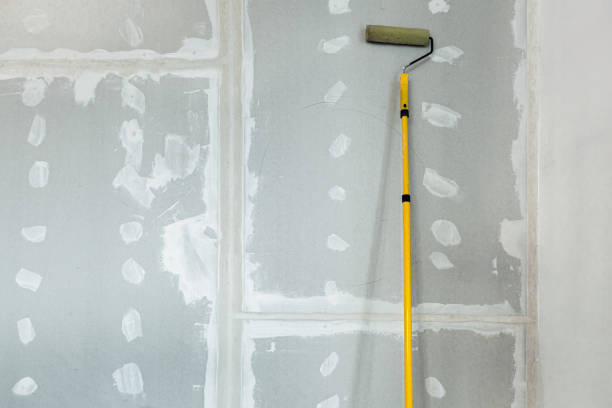 Forensic Mold Investigation in Canton, PA